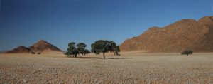 Afrika Namibia Desert