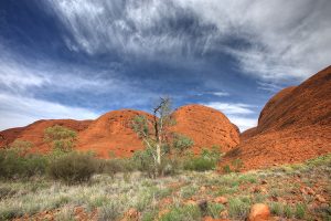 Australien Outback Olgas
