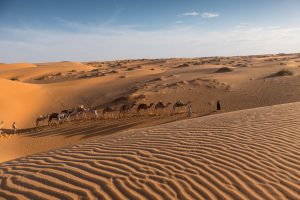 Mauretanien Karawane Wüste