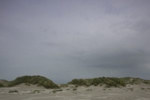 Nordsee Strand Dünen