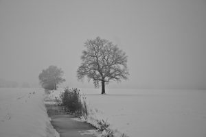 Winter Landschaft Brandenburg