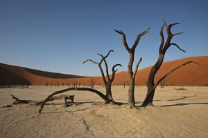 Namibia Death Vlei