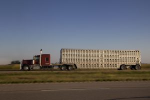 truck moving highway