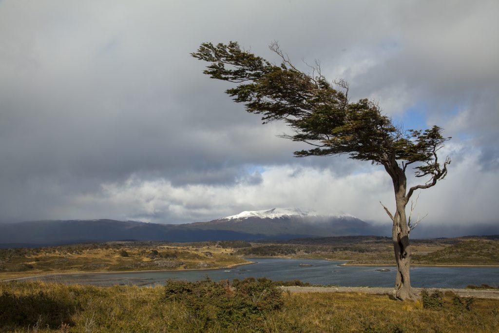 Feuerland Landschaft typisch