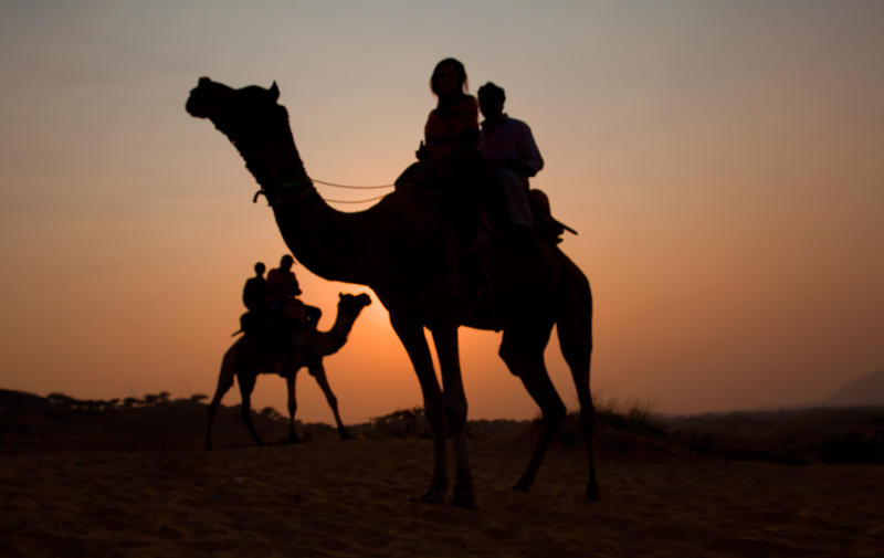 Kamel Reiten Sonnenuntergang