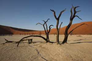 Namibia death Vlei