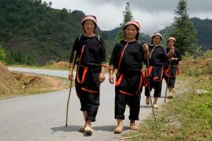 Vietnam Dzao People