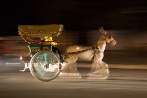 Horsecar Indien Transport