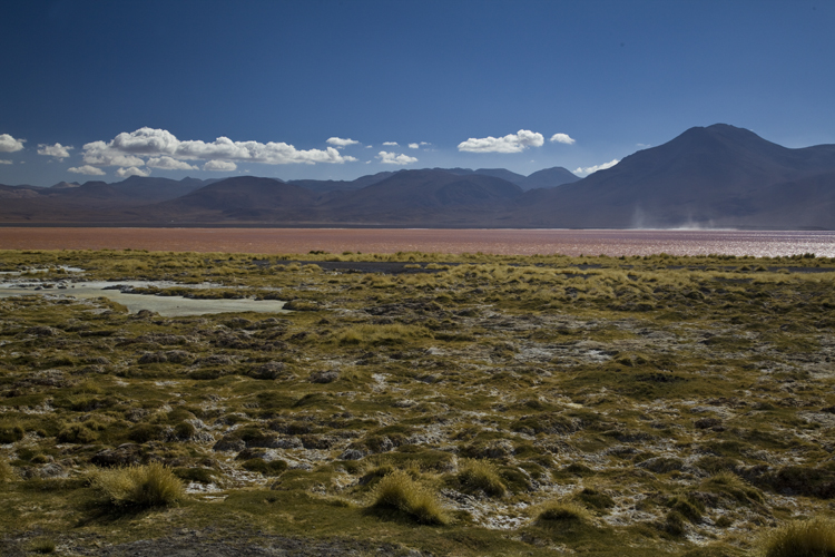Bolivien Altiplano Anden Uyuni Salt Lake La Paz Laguna Colorada