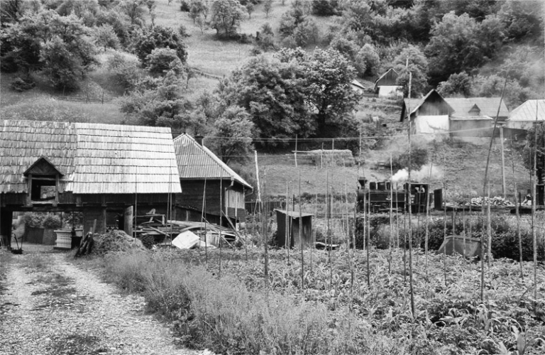 Rumänien Karpaten Wassertal Eisenbahn Wald Holz Dampflok Viseu de Sus