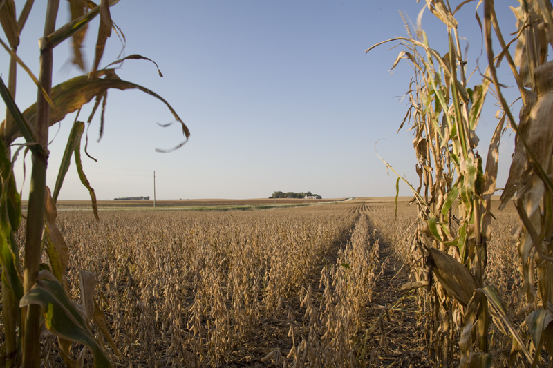 USA Südwest suoth west Iowa corn