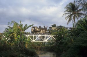 Indonesien Zahnradbahn Palmen