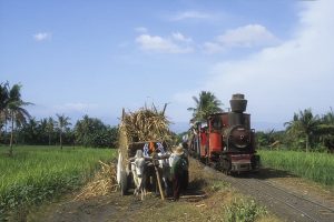 Indonesien Zuckerrohr Eisenbahn