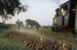 Indonesien Eisenbahn Landwirtschaft