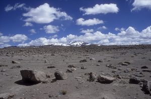 Peru Altiplano