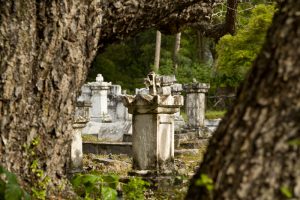 Seychellen Friedhof