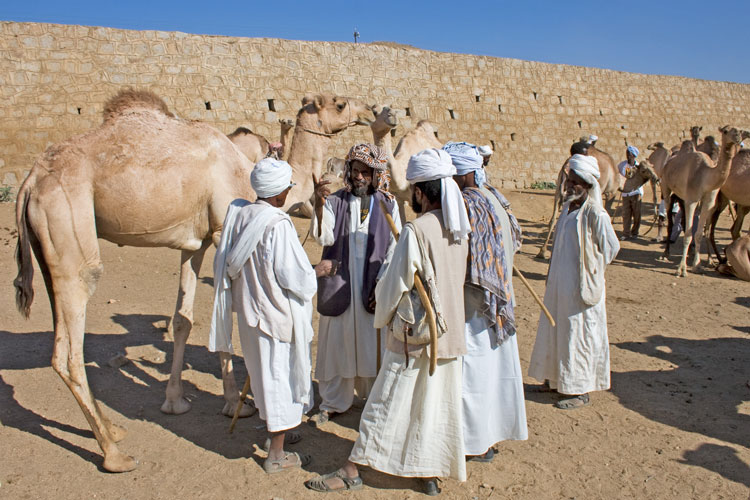 Afrika Eritrea MAERSK Massawa Asmara Zug Dampflok Spende Hilfe Menschen Keren Camel Market