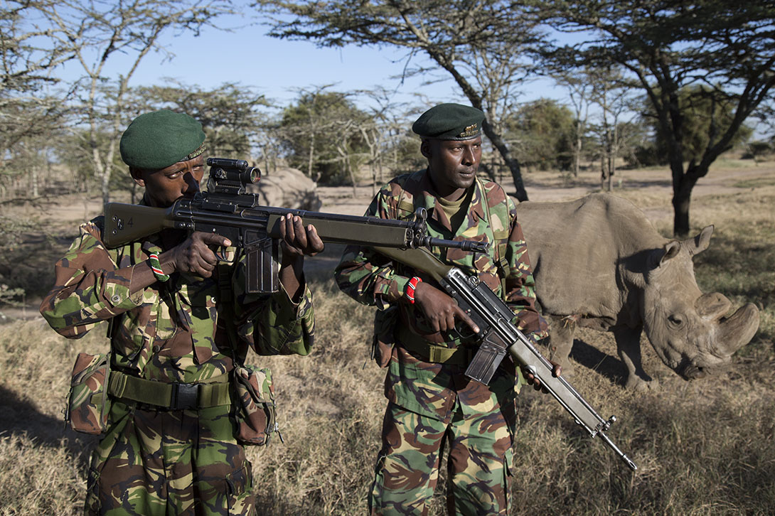Protection - Tanzania