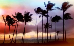 Hawaii Sunset Sunrise