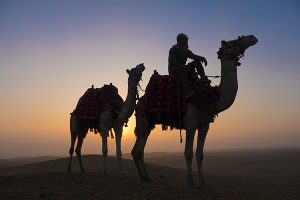 Ägpten Wüste Kamel Tour