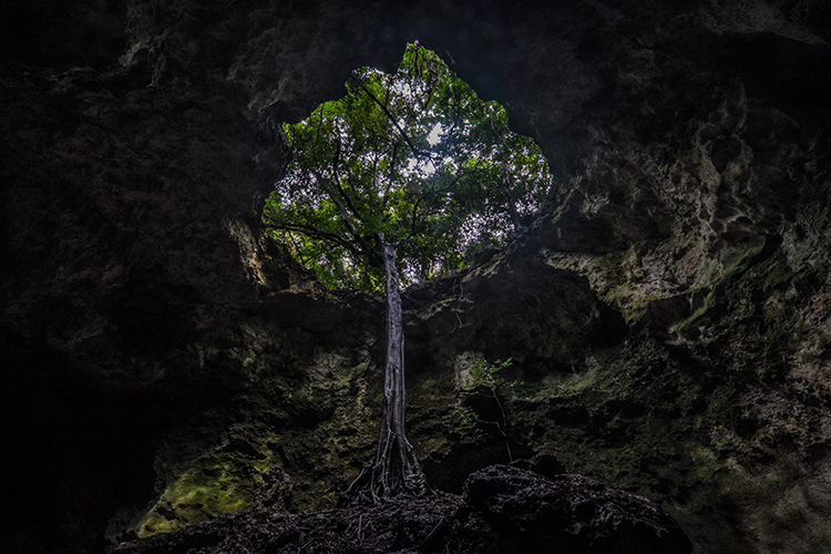 Vanuatu Spirit Cave