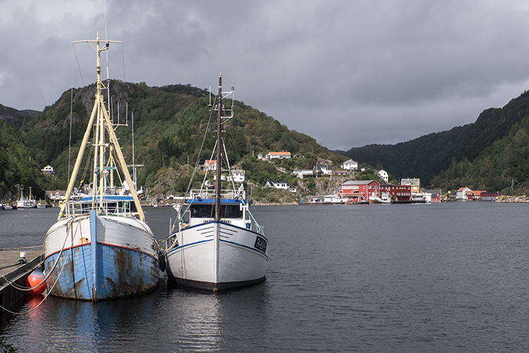 Norwegen Fjord Fischerboote
