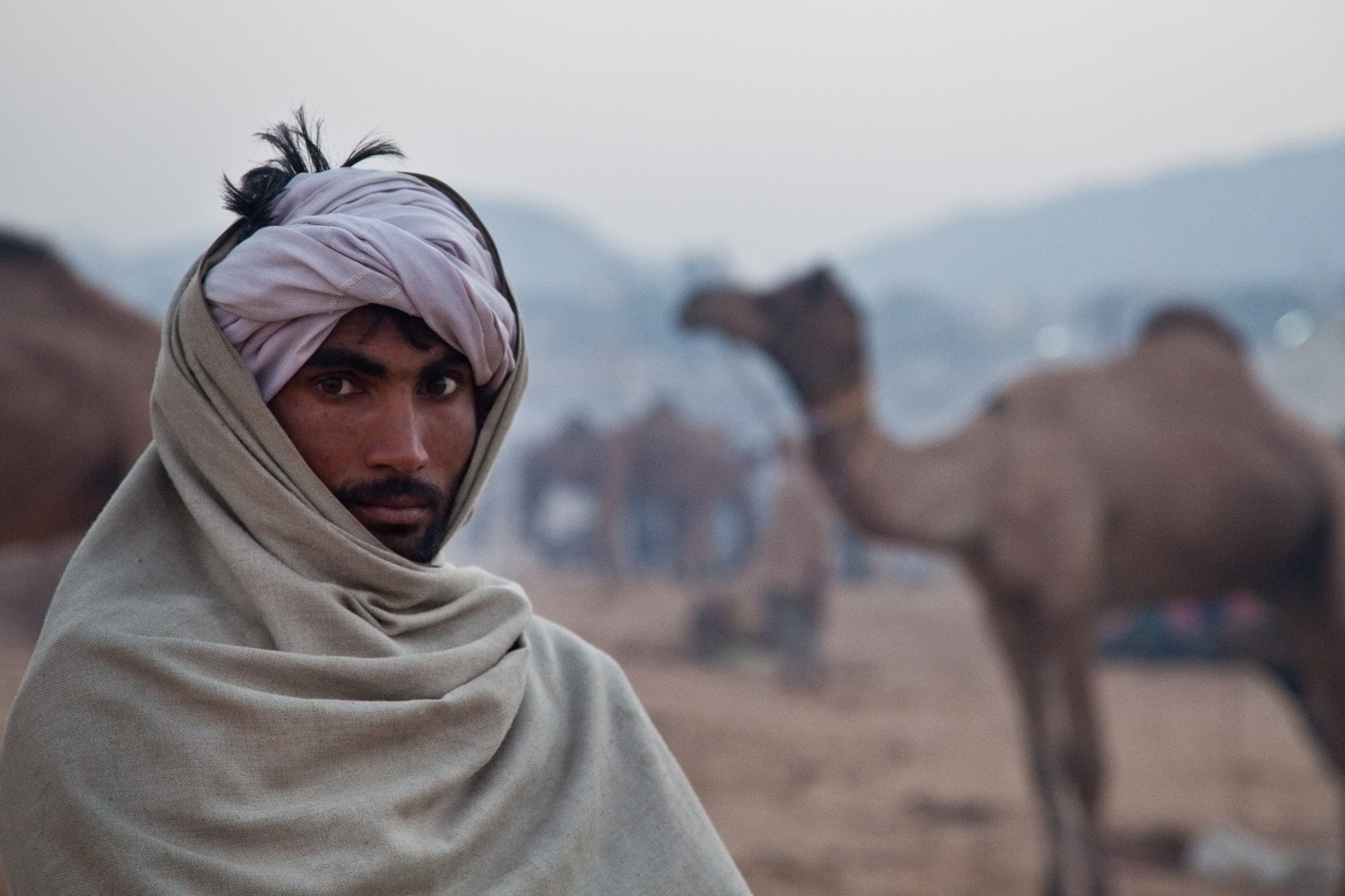 Pushkar Camel Fair - India
