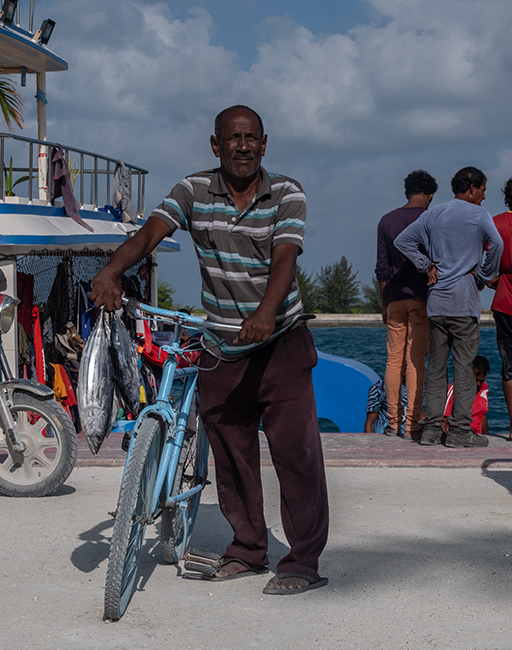 Malediven Bewohner Fischmarkt
