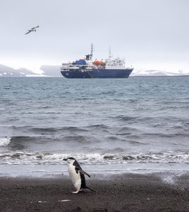 antarktis schiff pinguin
