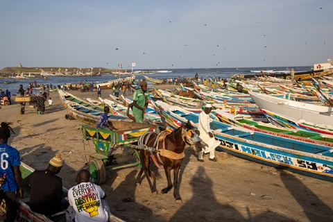 Dakar Yoff Fischmarkt