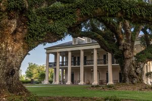 Oak Alley Planation