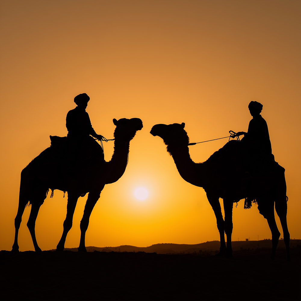Indien Camel fair