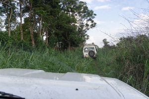 Democratic republic of congo