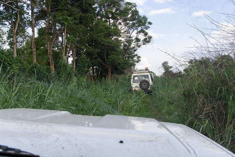 Democratic republic of congo