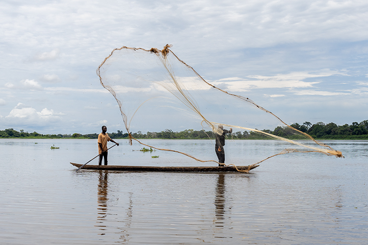 Congo Fisher traditional