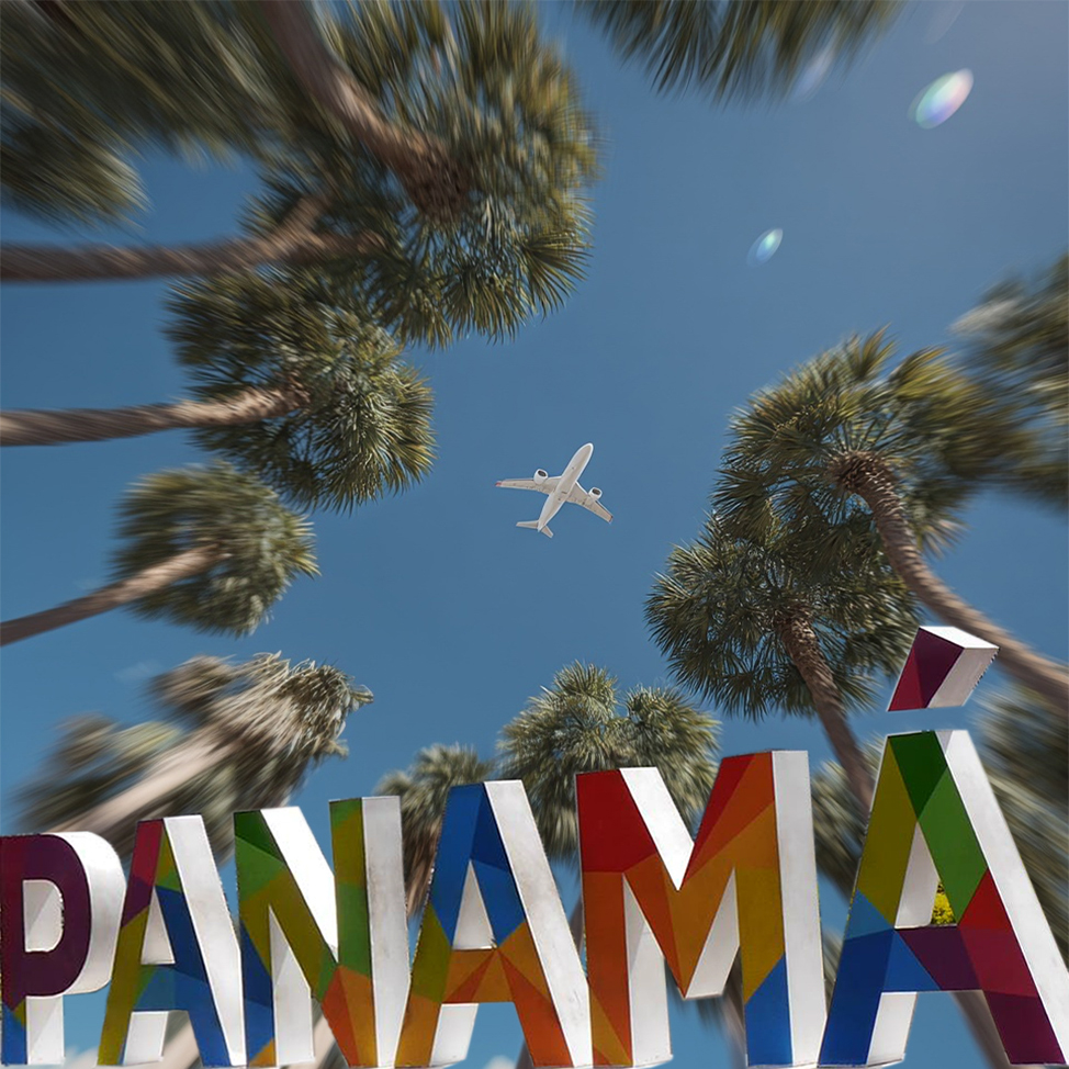 Panama Palmtree airplane