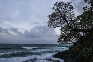 Karibik Panama Bocas del Toro